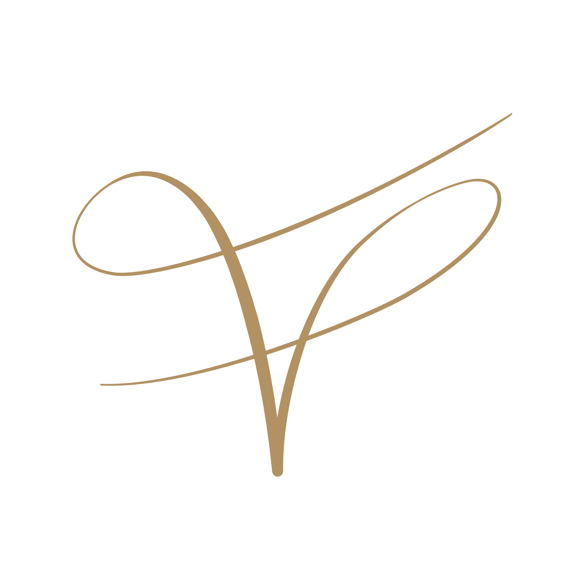 VENI logo
